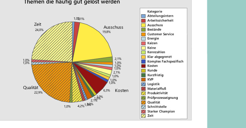 Screenshot über die Six-Sigma Kreisdiagramm Umfrage Ergebniss