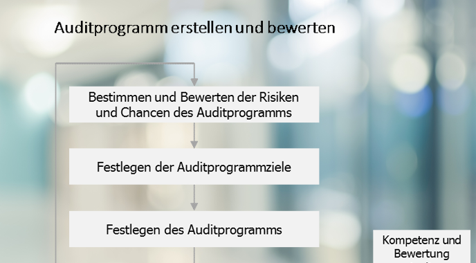 Prozess Auditprogramm erstellen und bewerten