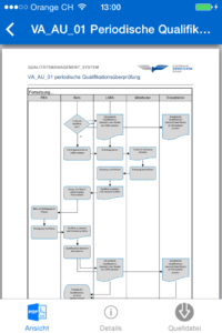 Ansicht einer Prozessbeschreibung auf dem Smartphone